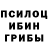 Галлюциногенные грибы GOLDEN TEACHER VLAD VALAC