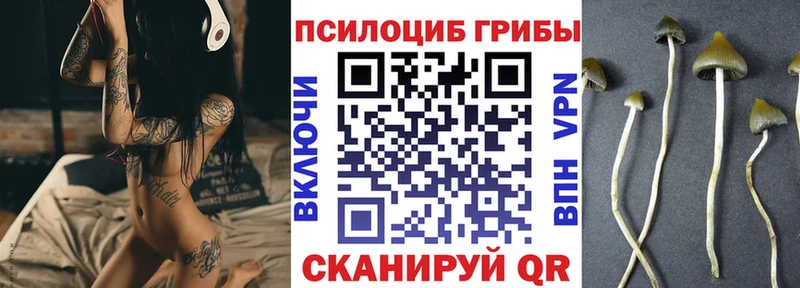 Псилоцибиновые грибы GOLDEN TEACHER  Гай 