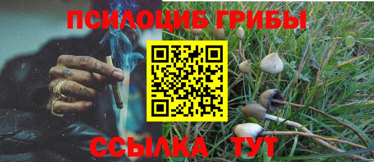 Гай  как найти   Вход с VPN  Галлюциногенные грибы MAGIC MUSHROOMS 