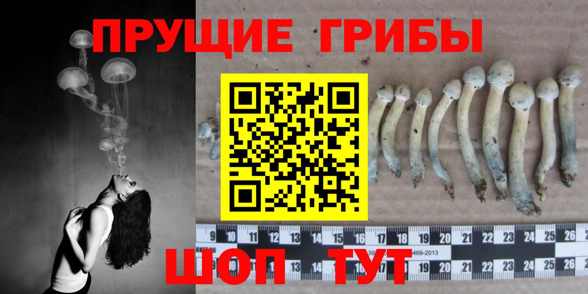 Псилоцибиновые грибы Magic Shrooms Гай